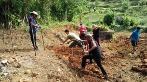 Preparing Vegetable beds Photo