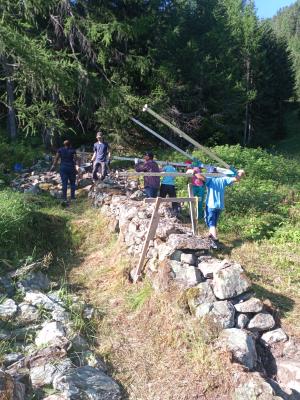 Volunteers at Work Photo