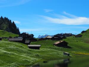 landscape Photo