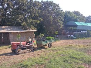 People Working Photo
