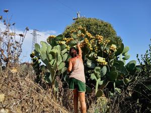 Picking lemons Photo