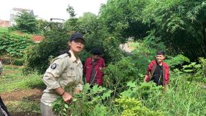 Cleaning shrubs and make a composting area Photo