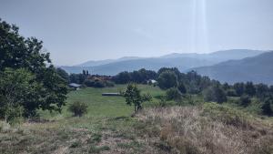 Nice view! Photo